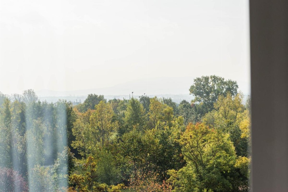 Deluxe King Room with Garden View